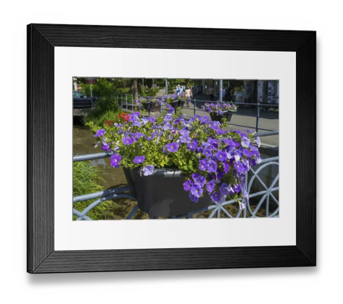 Framed Print : Railing with flower boxes by the river Lippe