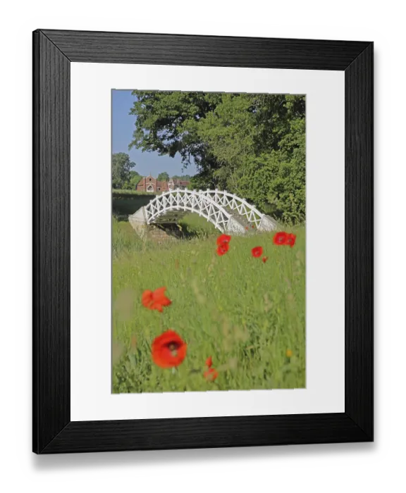 Framed Print : UNESCO Luisium, white arched bridge with poppies and neo-Gothic stud farm