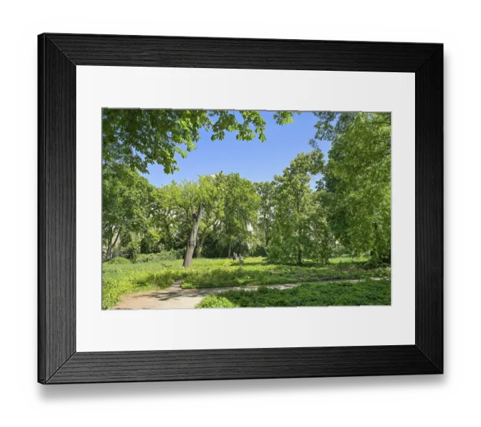 Framed Print : Jewish cemetery, GroBe Hamburger StraBe