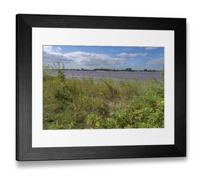 Framed Print : Dune landscape on the beach of the Weser on the island of Harriersand Framed Print : Dune landscape on the beach of the Weser on the island of Harriersand