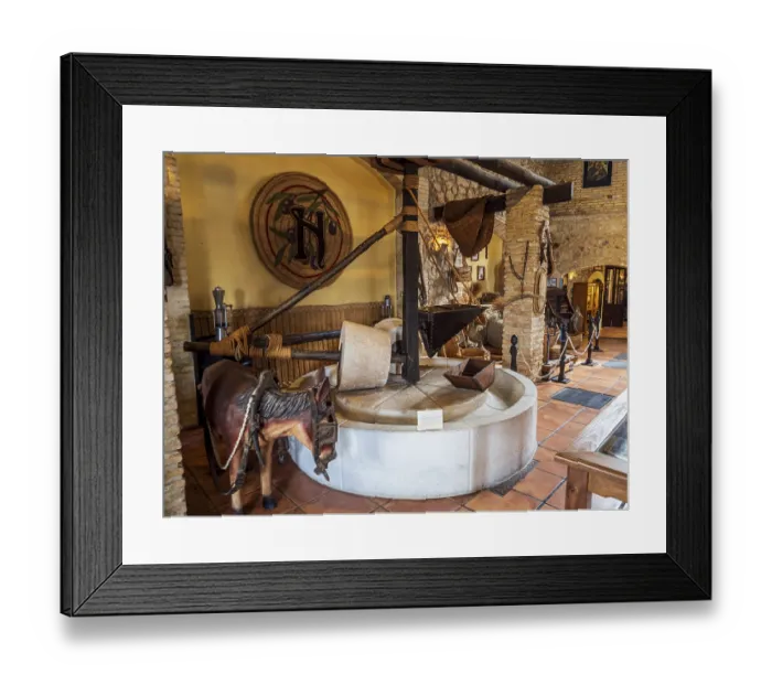 Framed Print : Museo del Aceite, olive oil museum and shop