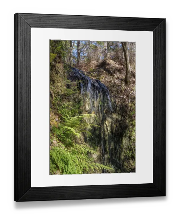 Framed Print : Waters of the highest waterfall in Florida fall into a deep sinkhole at Falling Waters State Park in Chipley