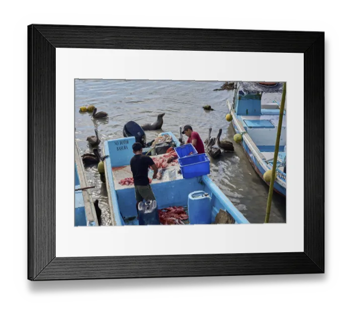 Framed Print : Fishing boat in the fishing harbour