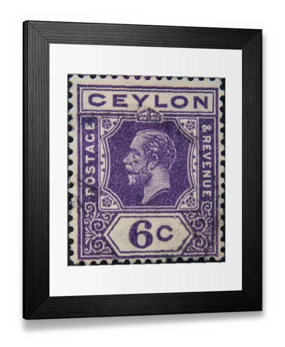 Framed Print : George V (1865 - 1936) was King of the United Kingdom and the British Dominions Framed Print : George V (1865 - 1936) was King of the United Kingdom and the British Dominions