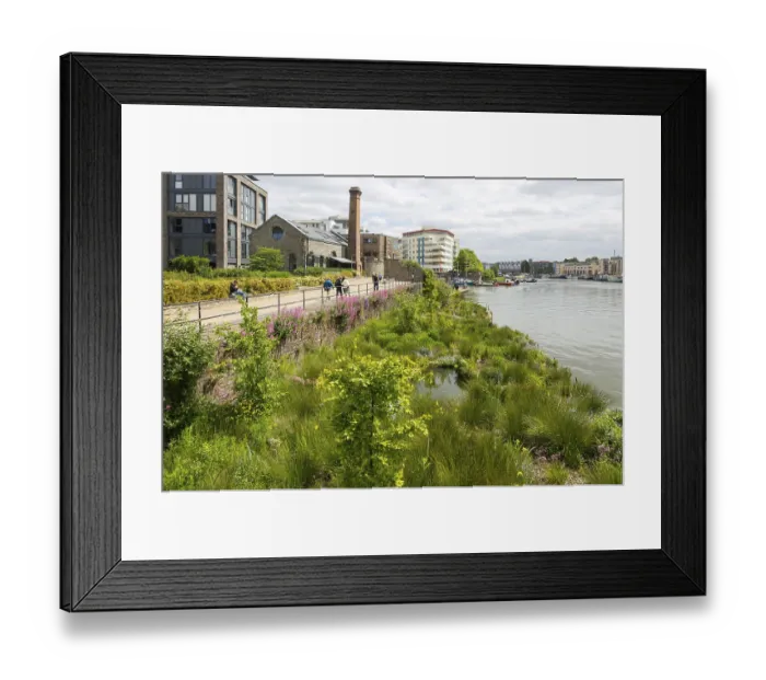 Framed Print : Artificial wetland plants growing on Biomatrix raft on water