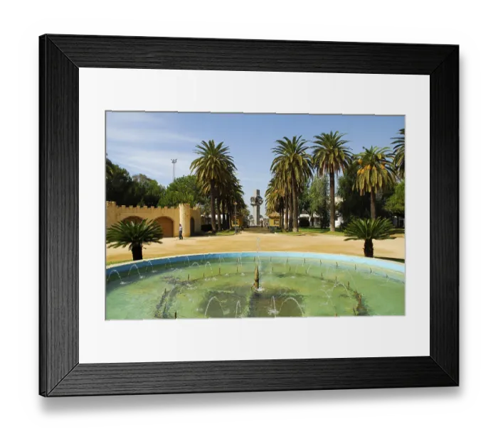 Framed Print : Garden with fountain and palm trees Framed Print : Garden with fountain and palm trees