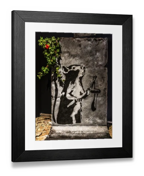 Framed Print : Banksy - Rat with slingshot, exhibition The World of Banksy