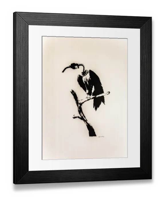 Framed Print : Banksy - Petrol Head Vulture, symbol of ecological destruction