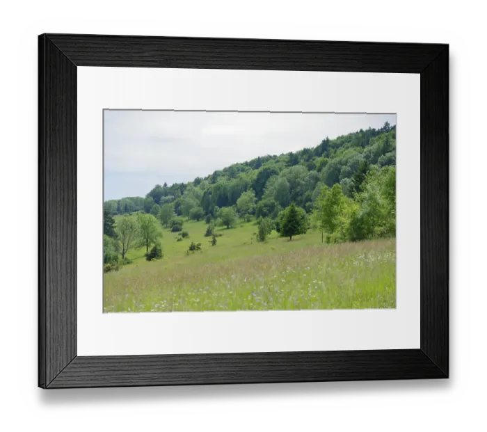 Framed Print : View of flower meadows and juniper heath