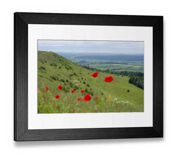 Framed Print : Hesselberg, Zeugenberg, Mohn (Paver)
