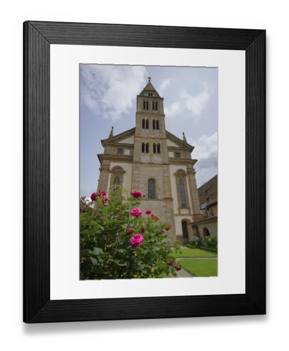 Framed Print : Roses in bloom in the cloister of Comburg Castle Framed Print : Roses in bloom in the cloister of Comburg Castle