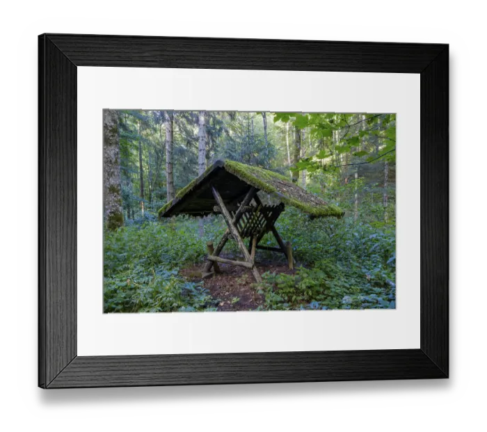 Framed Print : Empty feeding trough, used for winter feeding Framed Print : Empty feeding trough, used for winter feeding