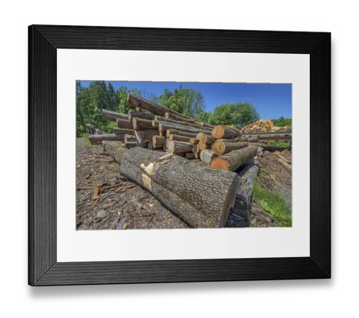 Framed Print : Stacked tree trunks in a sawmill