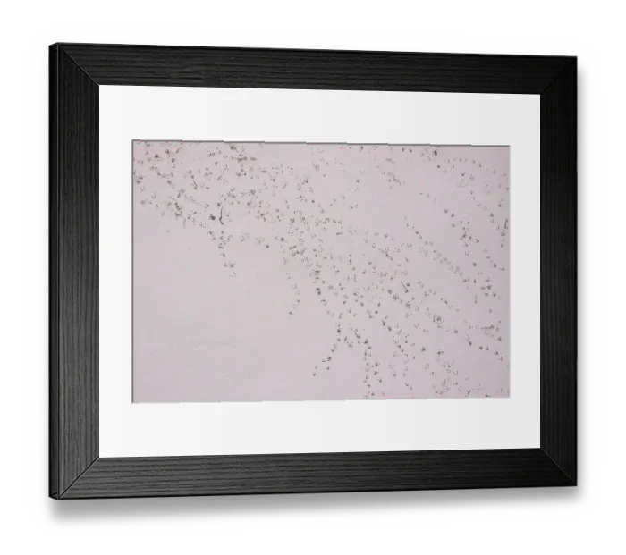Framed Print : Facade of a house with removed greenery, Germany