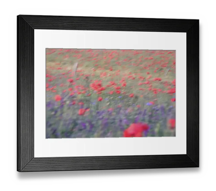 Framed Print : Beautiful picturesque poppy field, June, Germany