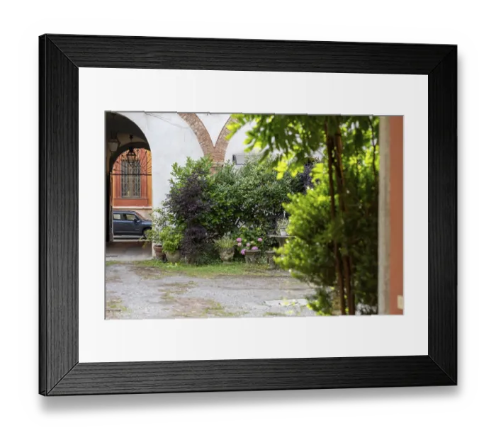 Framed Print : A serene view of a backyard garden featuring lush greenery stone benches Framed Print : A serene view of a backyard garden featuring lush greenery stone benches