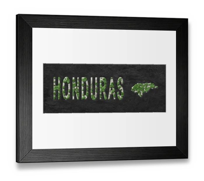 Framed Print : Map of Honduras Reforestation Green Agenda