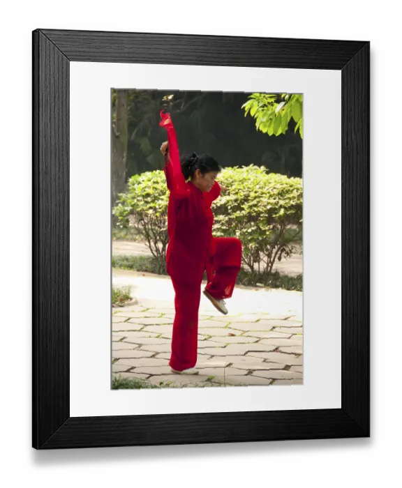 Framed Print : T'ai chi ch'uan (simplified Chinese: 太极拳)
