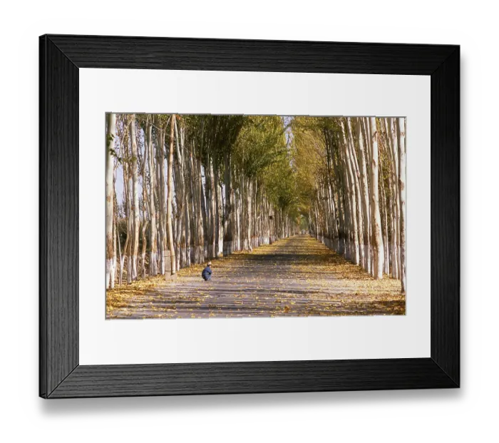 Framed Print : Khotan traces its history back at least as far as the 3rd century BCE