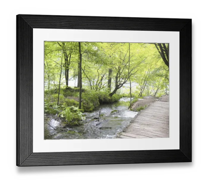 Framed Print : A wooden path in the forest secret place Framed Print : A wooden path in the forest secret place