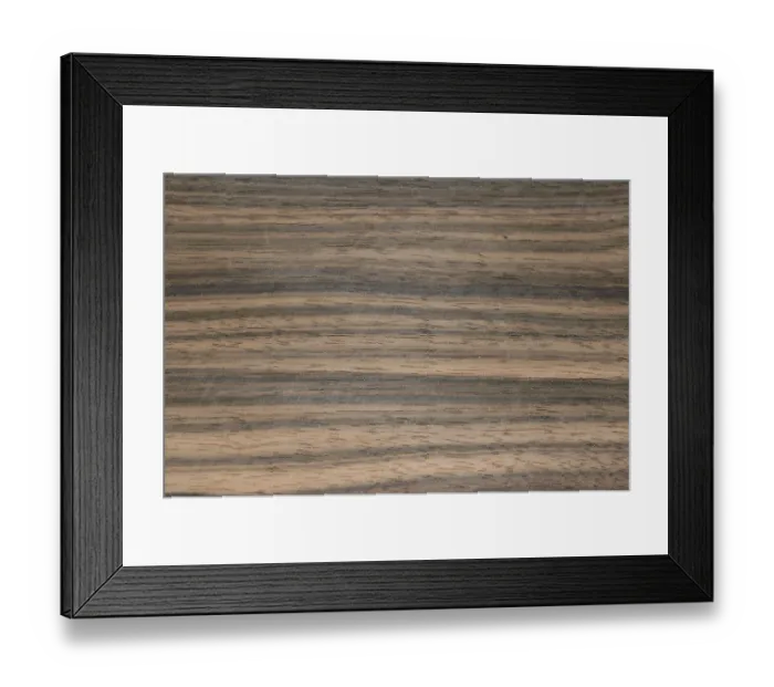 Framed Print : Makassar ebony (Diospyros celebica) Framed Print : Makassar ebony (Diospyros celebica)