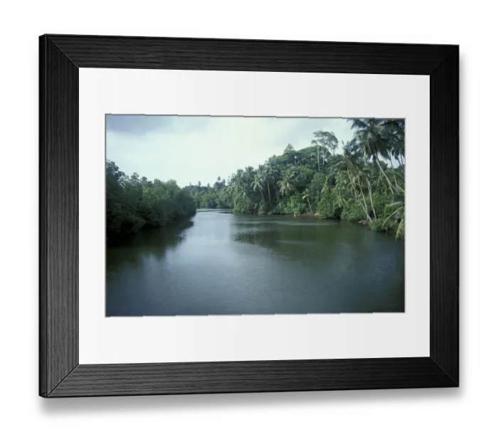 Framed Print : Mangrove river