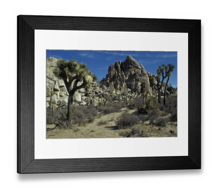 Framed Print : Landscape