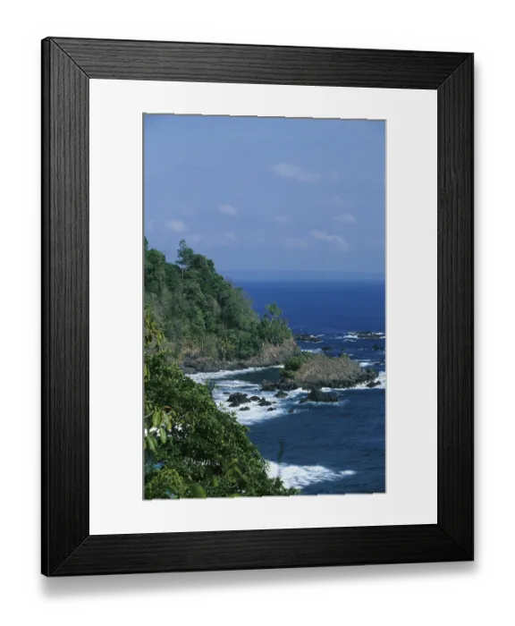 Framed Print : Tropical coast