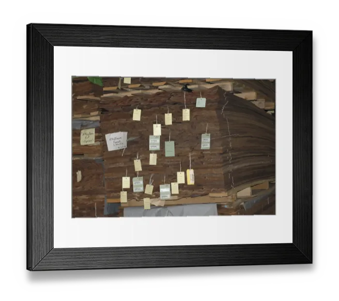 Framed Print : Tropical wood factory