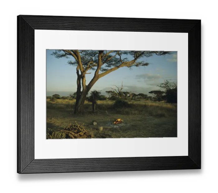 Framed Print : Campfire on Kilimandjaro