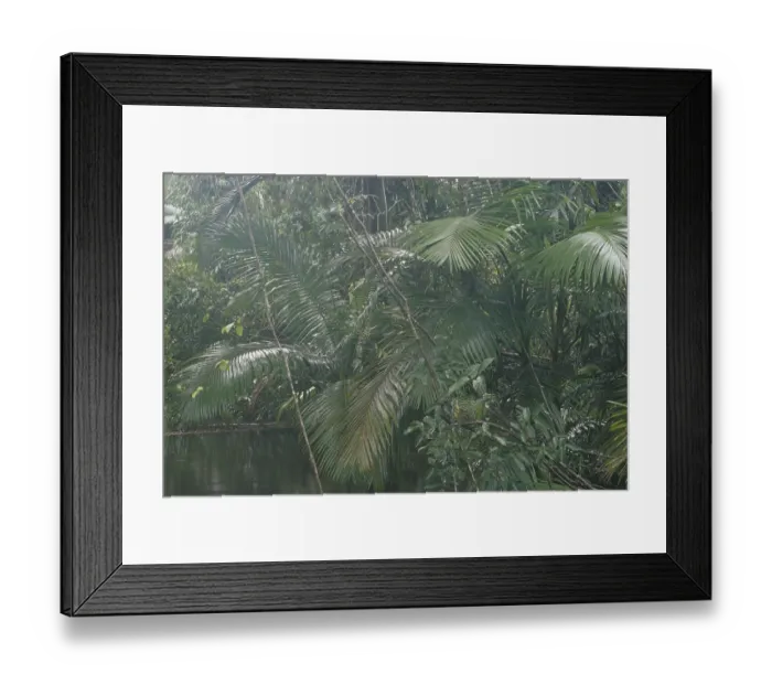 Framed Print : River in the Australian rainforest
