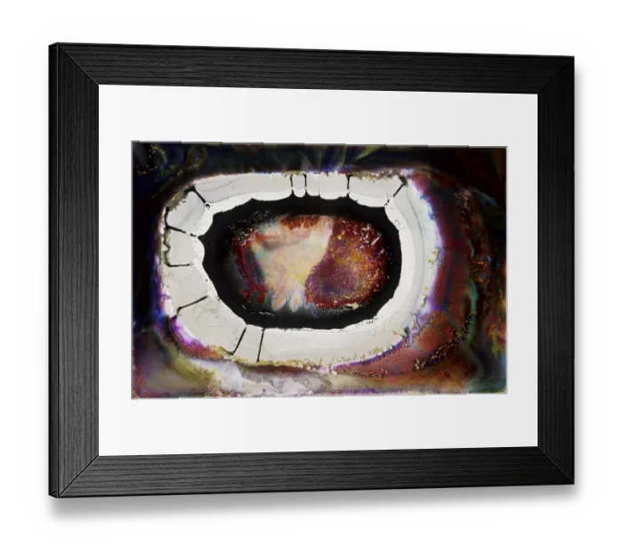 Framed Print : Macrolopas (Macrolopas perigui)