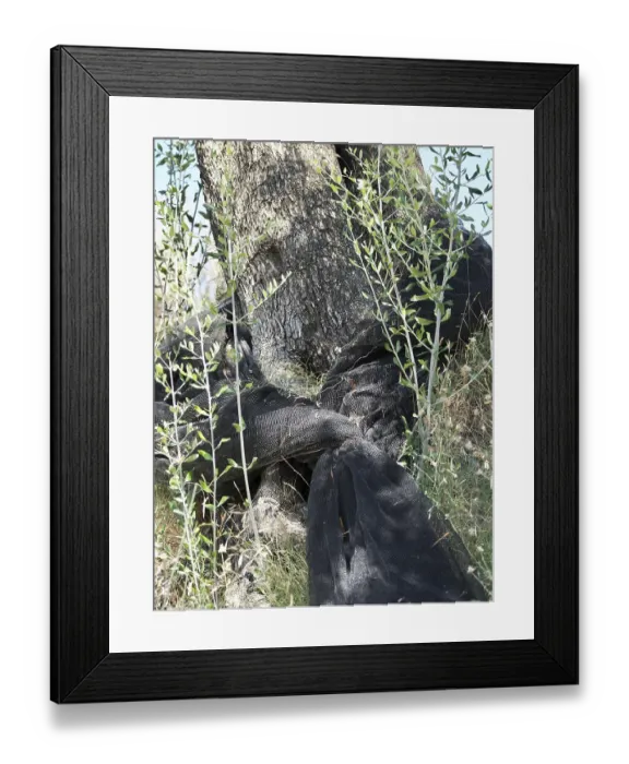 Framed Print : Corfu, Greece