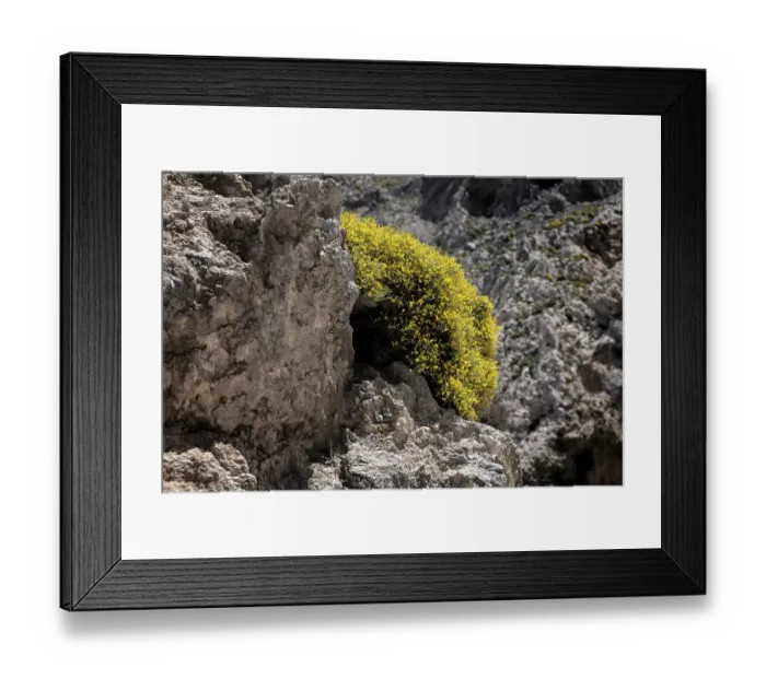 Framed Print : Kourtaliotiko Gorge, Broom, Crete