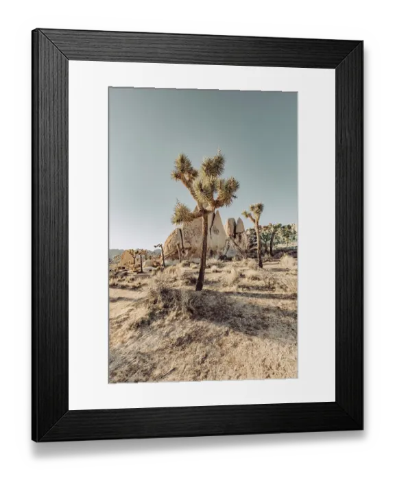 Framed Print : Joshua Tree National Park