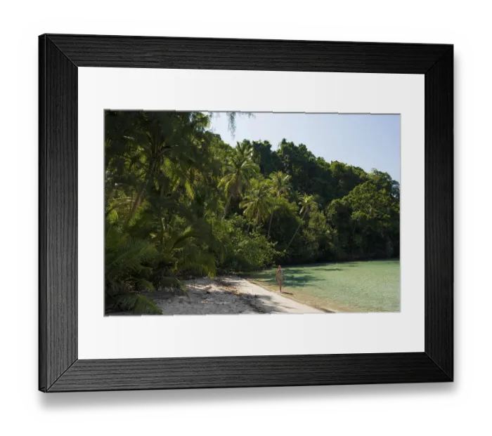 Framed Print : Sandy beach beach with coconut palms Framed Print : Sandy beach beach with coconut palms