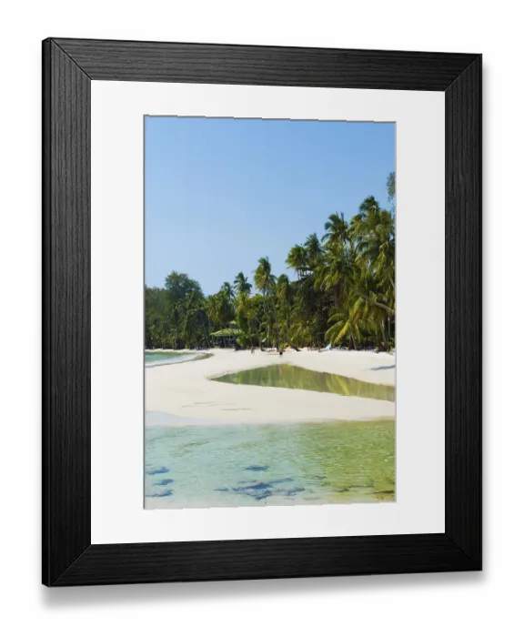 Framed Print : Sandy beach beach with coconut palms Framed Print : Sandy beach beach with coconut palms