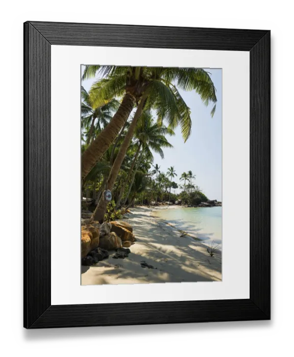 Framed Print : Sandy beach beach with coconut palms
