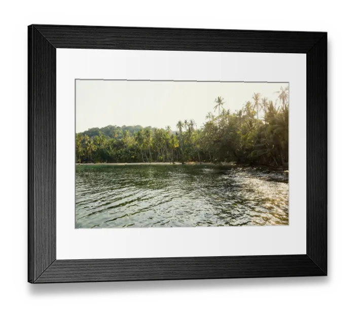 Framed Print : Sandy beach beach with coconut palms Framed Print : Sandy beach beach with coconut palms