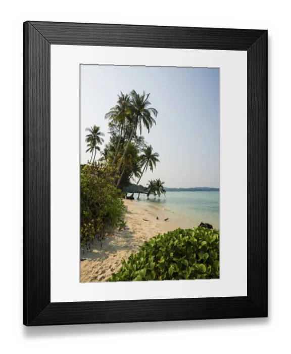 Framed Print : Sandy beach beach with coconut palms