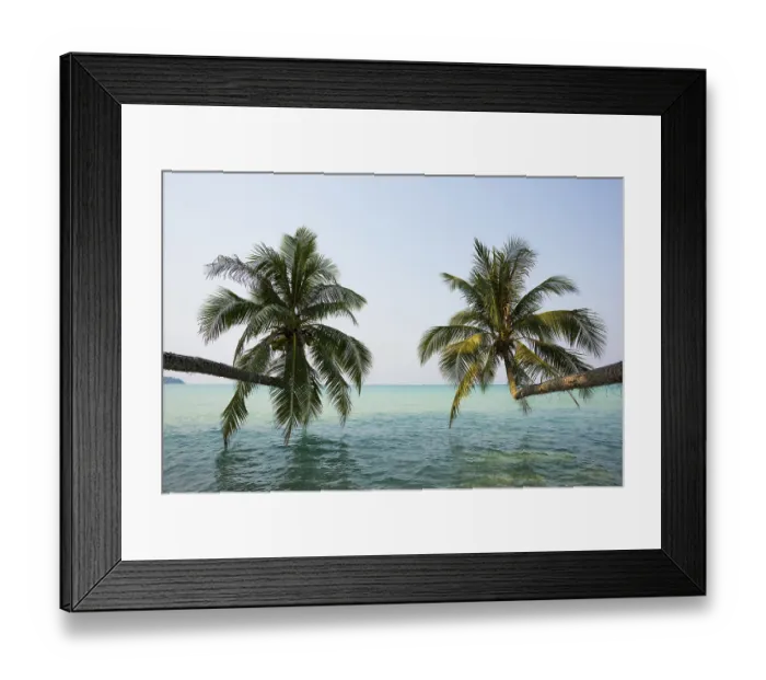 Framed Print : Sandy beach beach with coconut palms Framed Print : Sandy beach beach with coconut palms