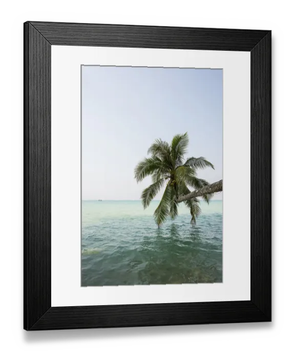 Framed Print : Sandy beach beach with coconut palms