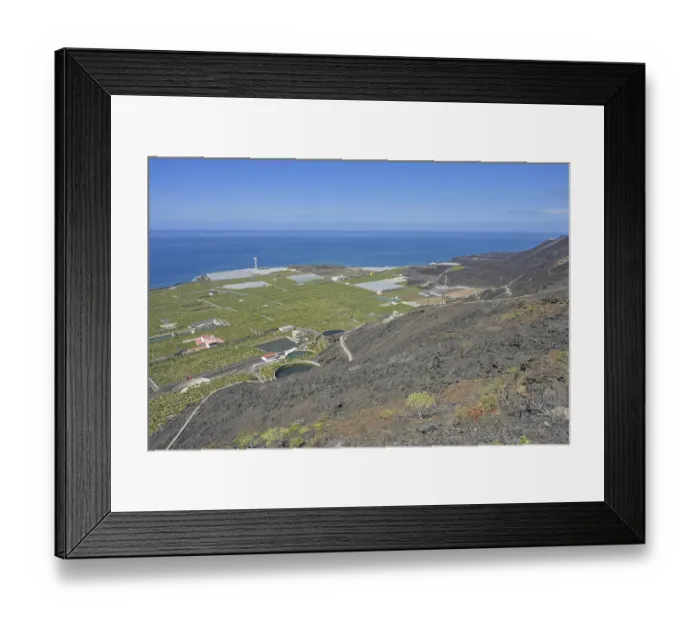 Framed Print : Lava field, banana plantations