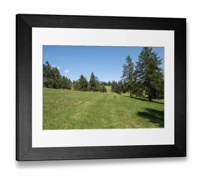 Framed Print : Pasture with larches on the Salten