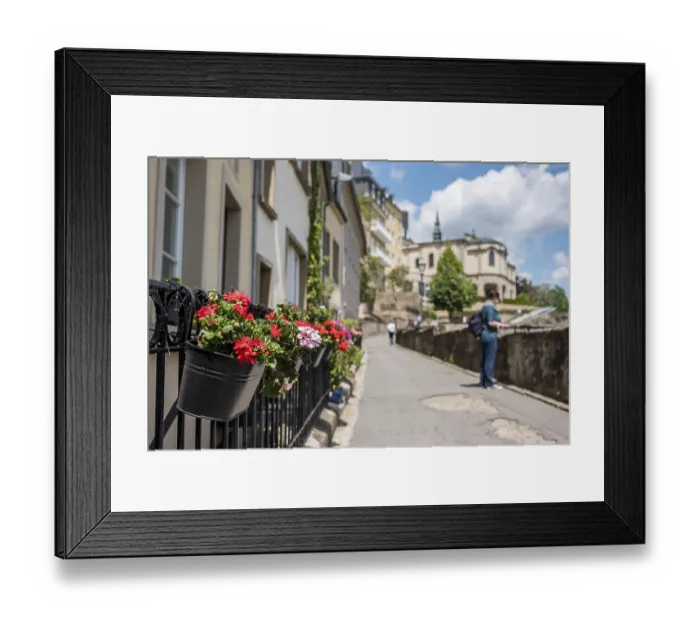 Framed Print : Flower boxes in Luxembourg