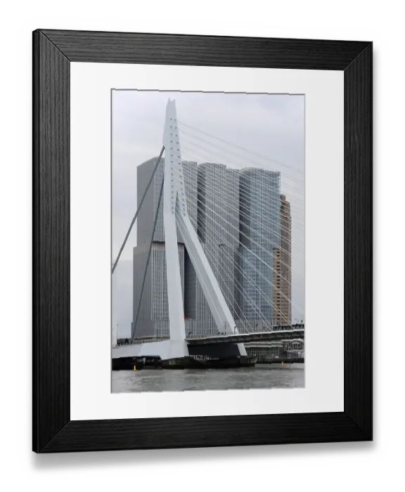 Framed Print : Erasmusbrug, Erasmus Bridge over the Nieuwe Maas river