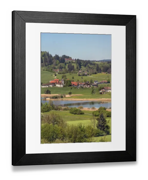Framed Print : Memholz with spring meadows and mixed forest at Lake Niedersonthofen