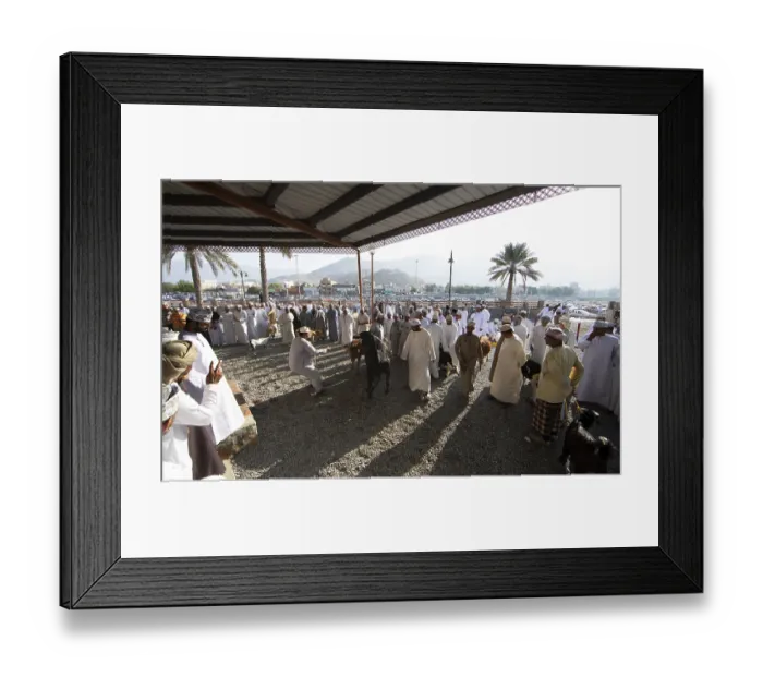 Framed Print : Omani men in traditional dress at the livestock market in the souk or soug or market in the old town of Nizwa