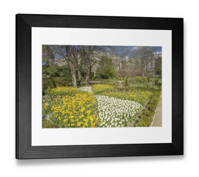 Framed Print : Botanical Garden, Real Jardin Botanico de Madrid