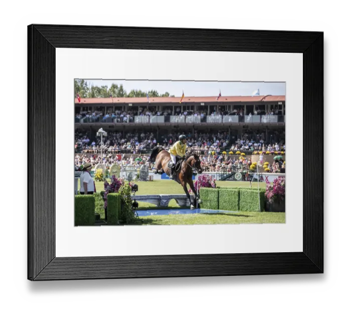 Framed Print : Yuri Mansur of Brazil and riding QH Alfons Santo Antonio compete in the first round of the 1 Framed Print : Yuri Mansur of Brazil and riding QH Alfons Santo Antonio compete in the first round of the 1
